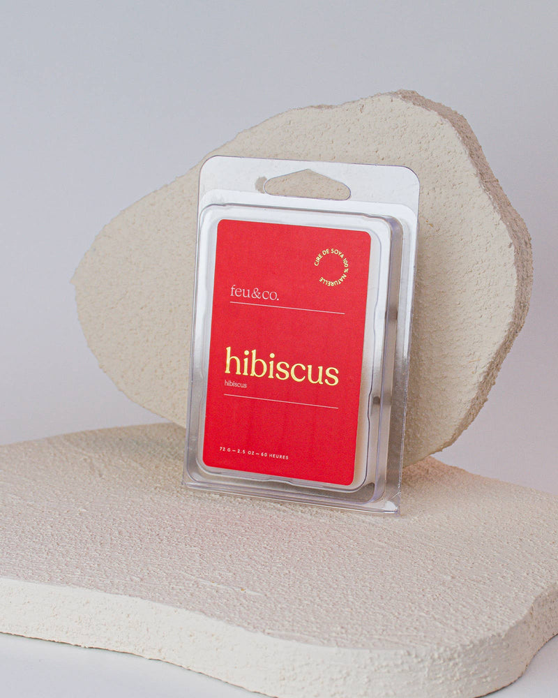 Cubes de cire parfumées.