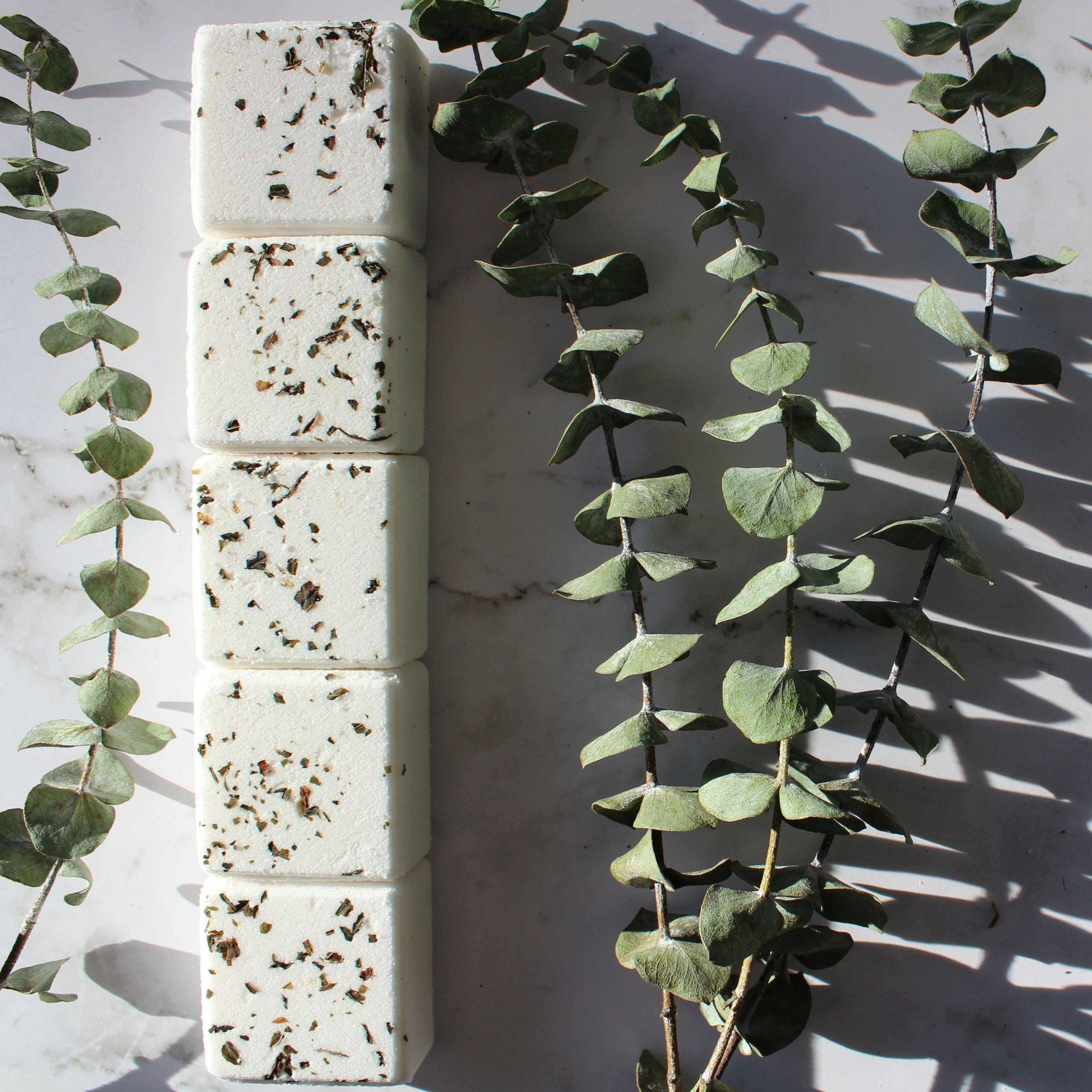 Hudson Soap Co. – Ensemble de 5 bombes de bain – Eucalyptus - Soins du corps | Ma Boutique Aromatique.
