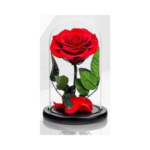 Rose éternelle rouge