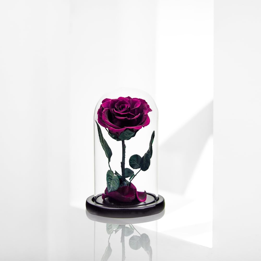 Rose éternelle rose