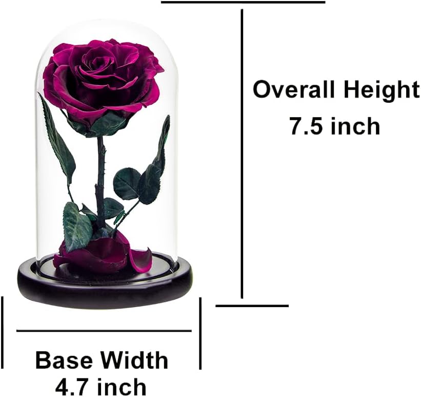 Rose éternelle rose