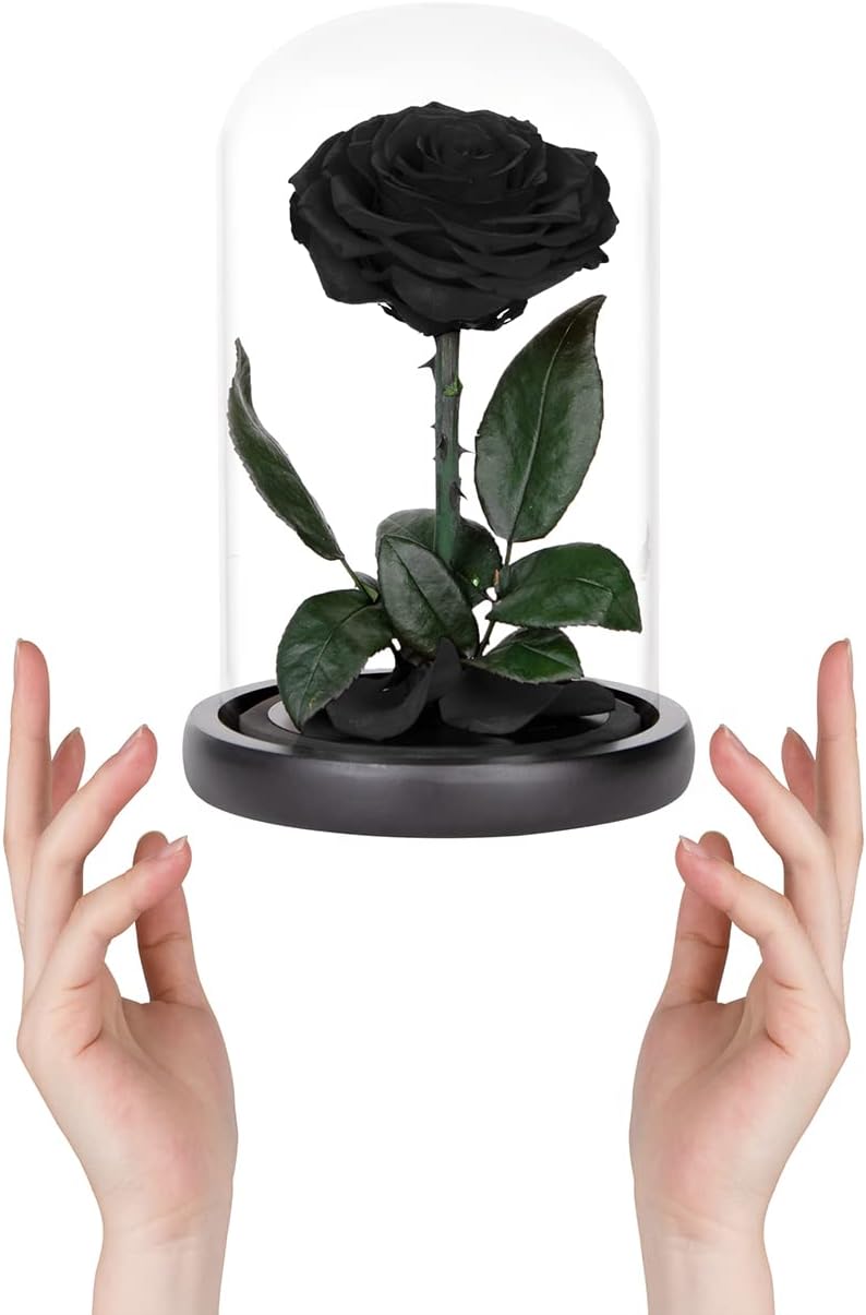 Rose éternelle noir