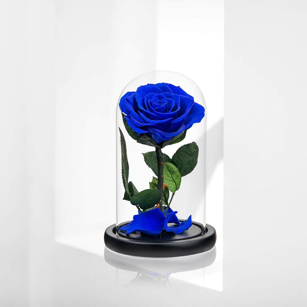 Rose éternelle bleue