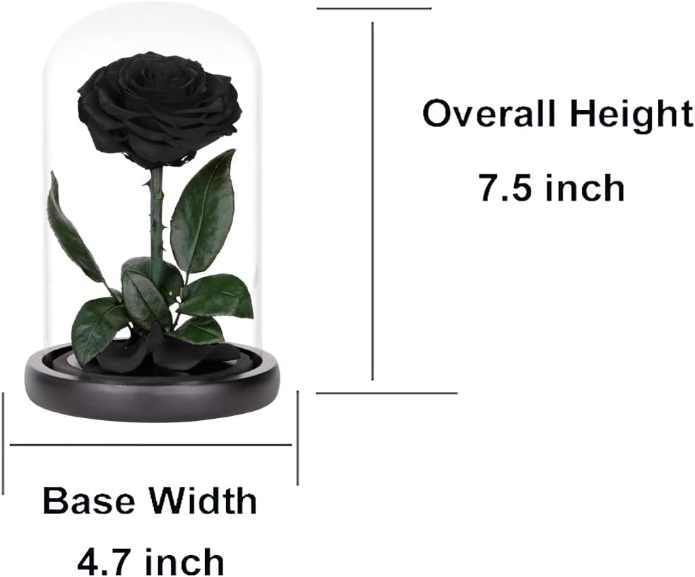 Rose éternelle noir