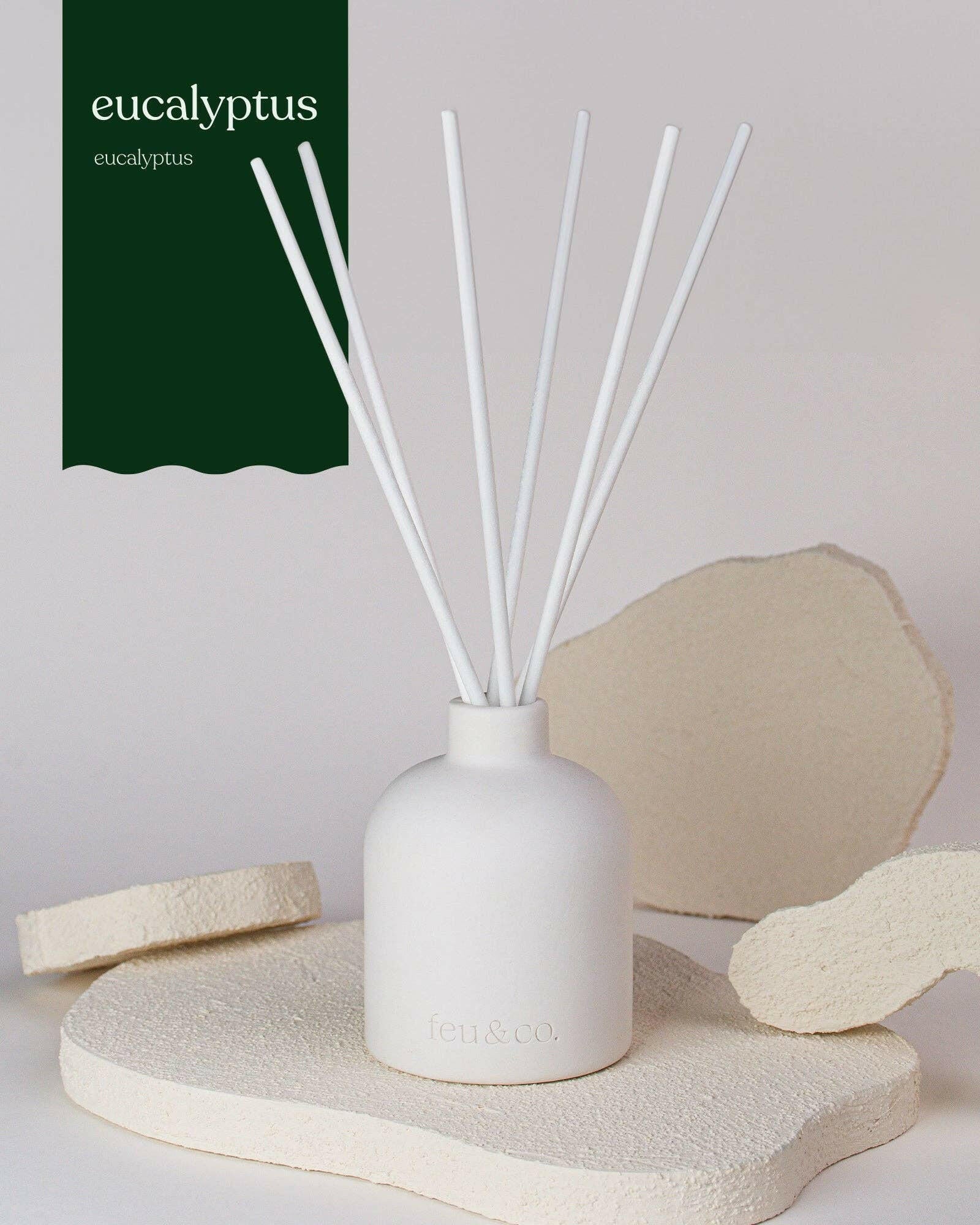 Feu & Co. – Diffuseur à roseaux – Eucalyptus | Ensemble de départ 160 ml - Maison et ambiance | Ma Boutique Aromatique.