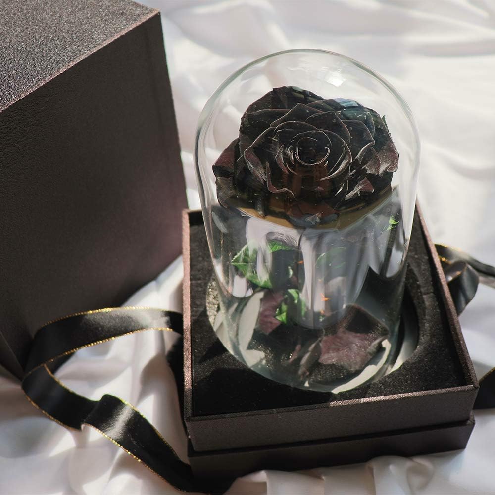 Rose éternelle noir