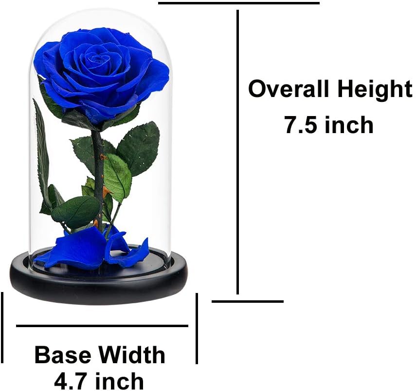 Rose éternelle bleue